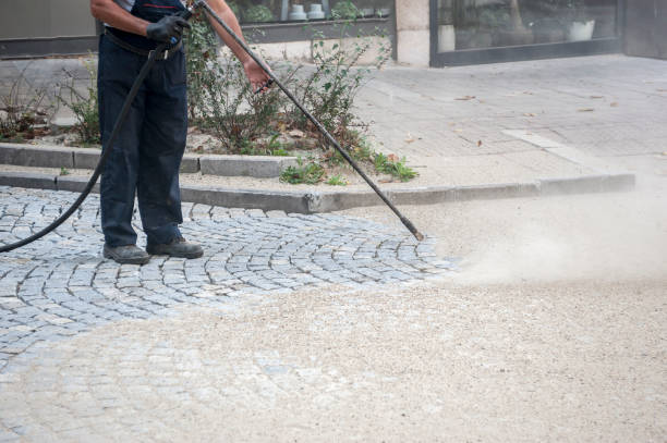 Best Pre-Holiday Cleaning  in Flowood, MS